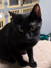 Salem