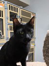 Salem