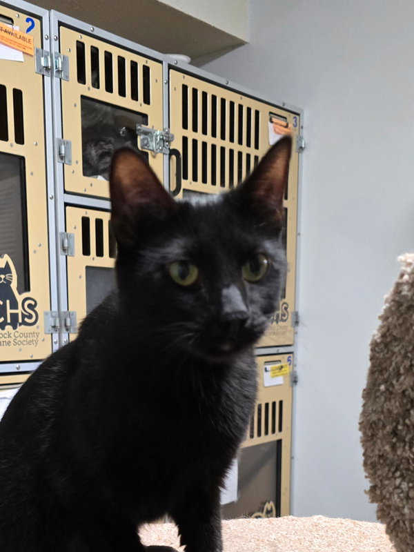 Salem
