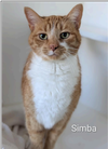 Simba