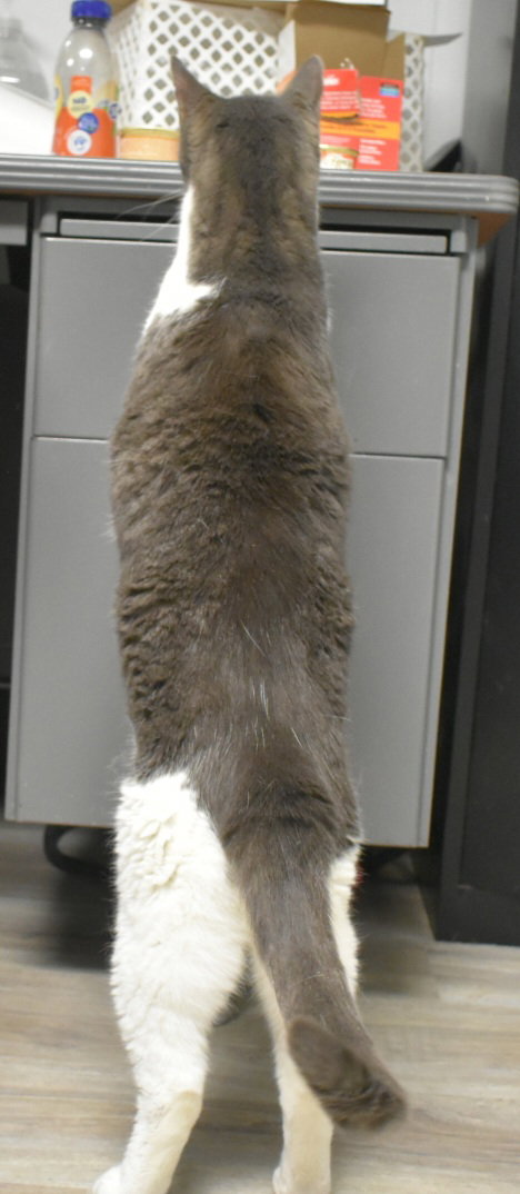 Spielberg, photo 3