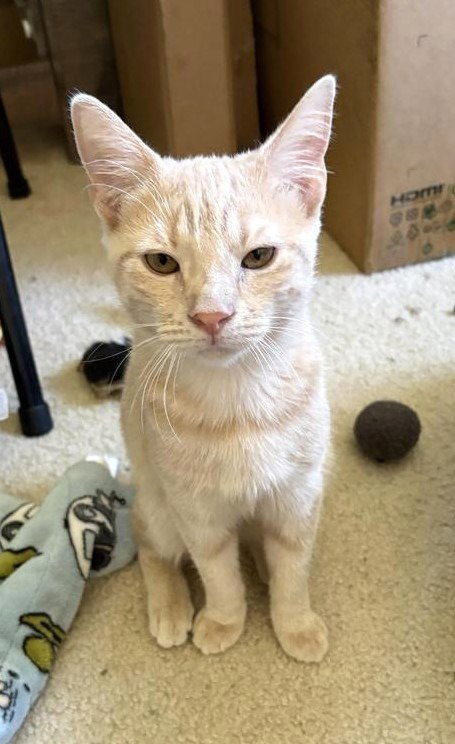 Clark, photo 2