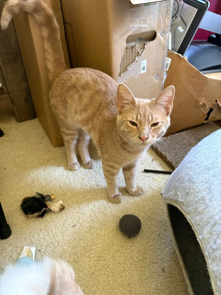 Milo