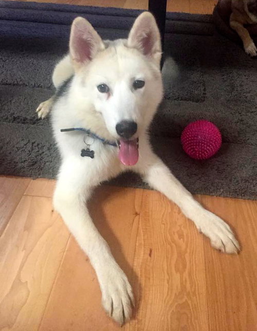Juno