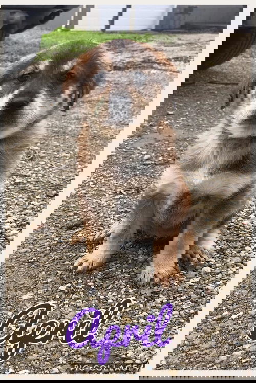 April