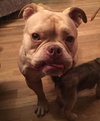 Tilly