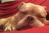 Tilly