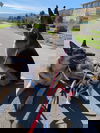 Pismo
