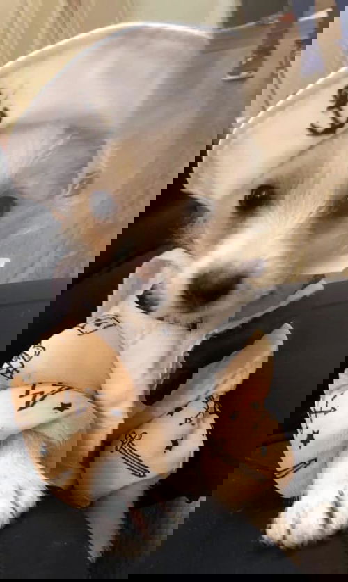 Zero