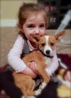 Scout