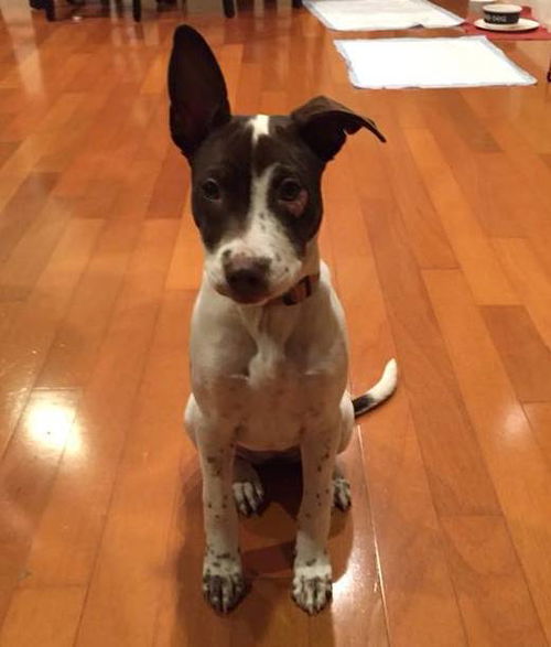 Ripley