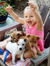 Romeo - Lover Boy Litter