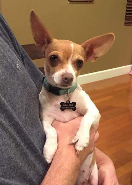 Winnie