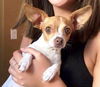 Winnie