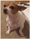 Winnie