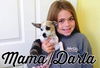 Darla - Little Rascals Litter