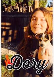 Dory - Little Rascals Litter