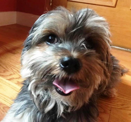 Theodore
