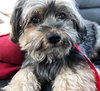 Theodore
