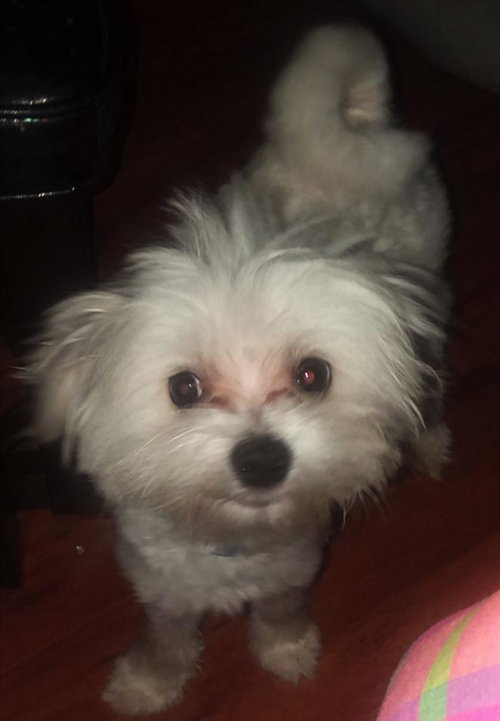 Zoey