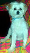 Zoey