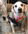 Rita