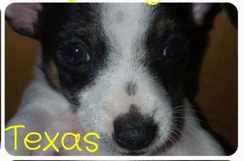 Texas