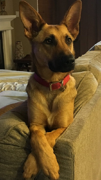 Sophie