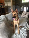 Sophie