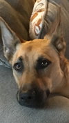 Sophie