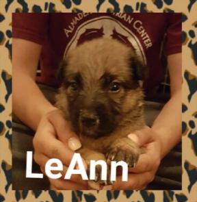 LeAnn