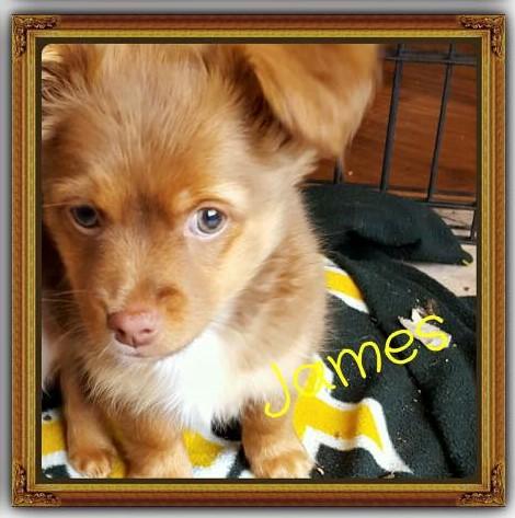 James