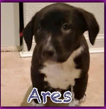 Ares