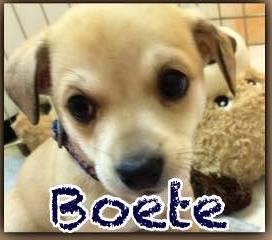 Boete