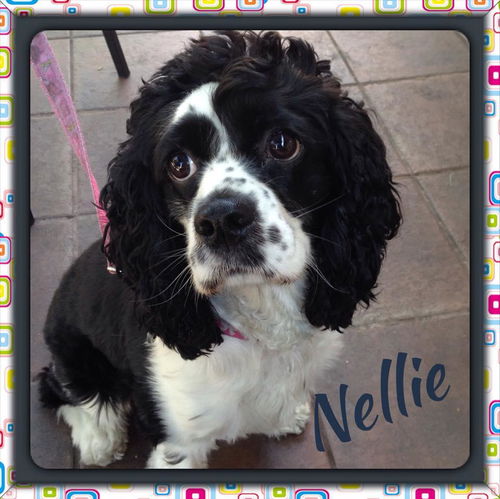 Nellie