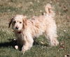 Parker
