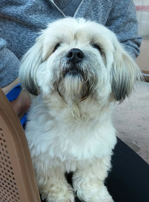 Diego