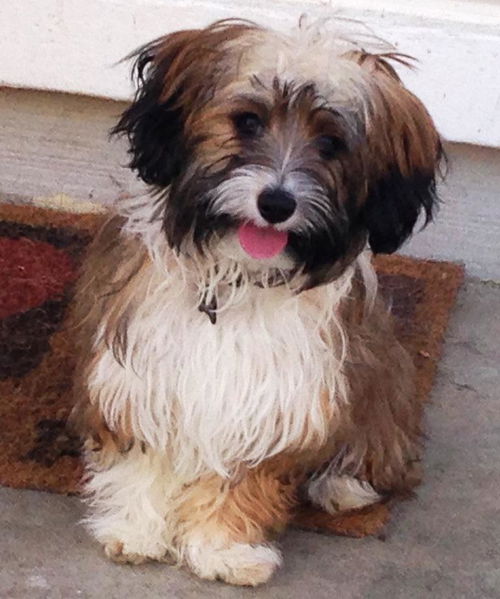Darby