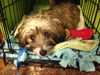 Darby