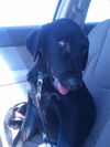 Riley
