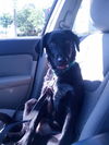Riley