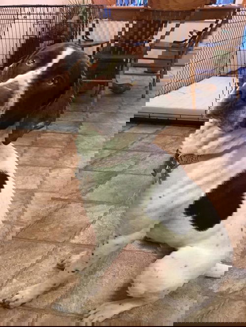 Aero