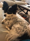Jax