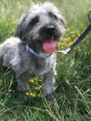 Winnie