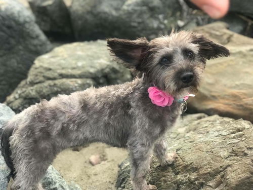 Winnie