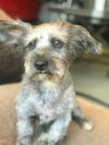 Winnie