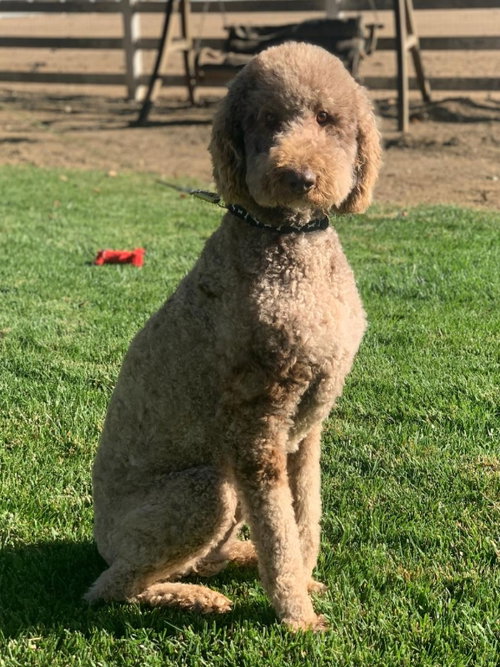 Stanley