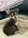 Thelma