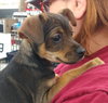 Jill - Jack and Jill Litter