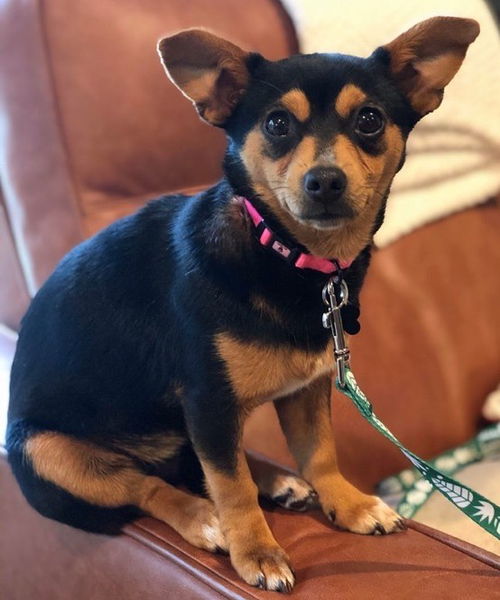Winnie